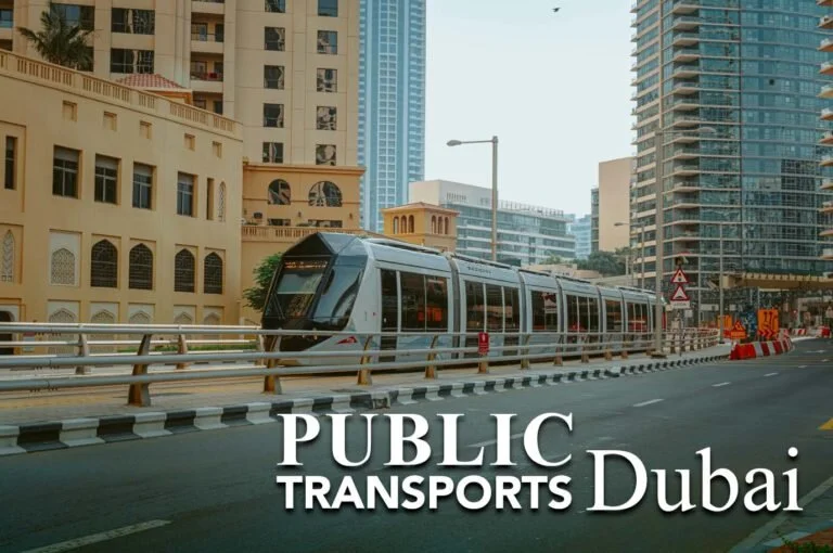 All About The Public Transports in Dubai