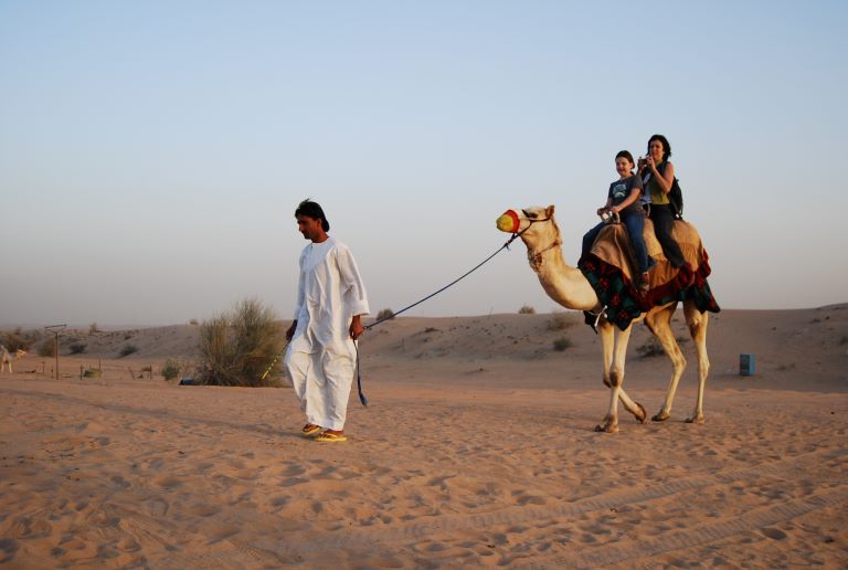 Camel Safari In UAE: Experience The Arabic Culture