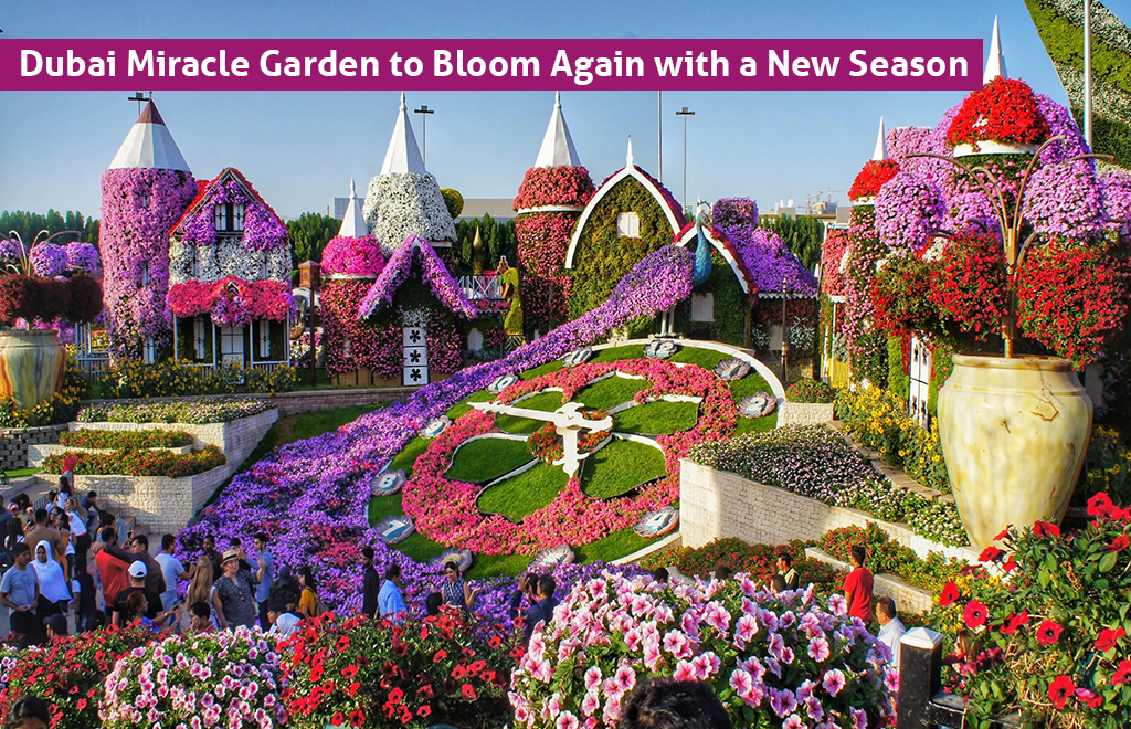 Dubai Miracle Garden to Bloom Again with a New Season