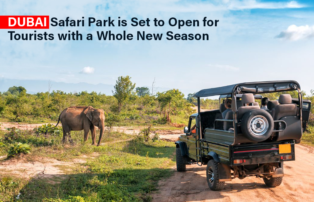 Dubai Safari Park Set to Open for Tourists with a Whole New Season